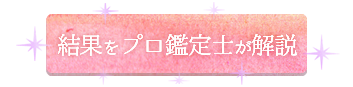 結果をプロ鑑定士が解説